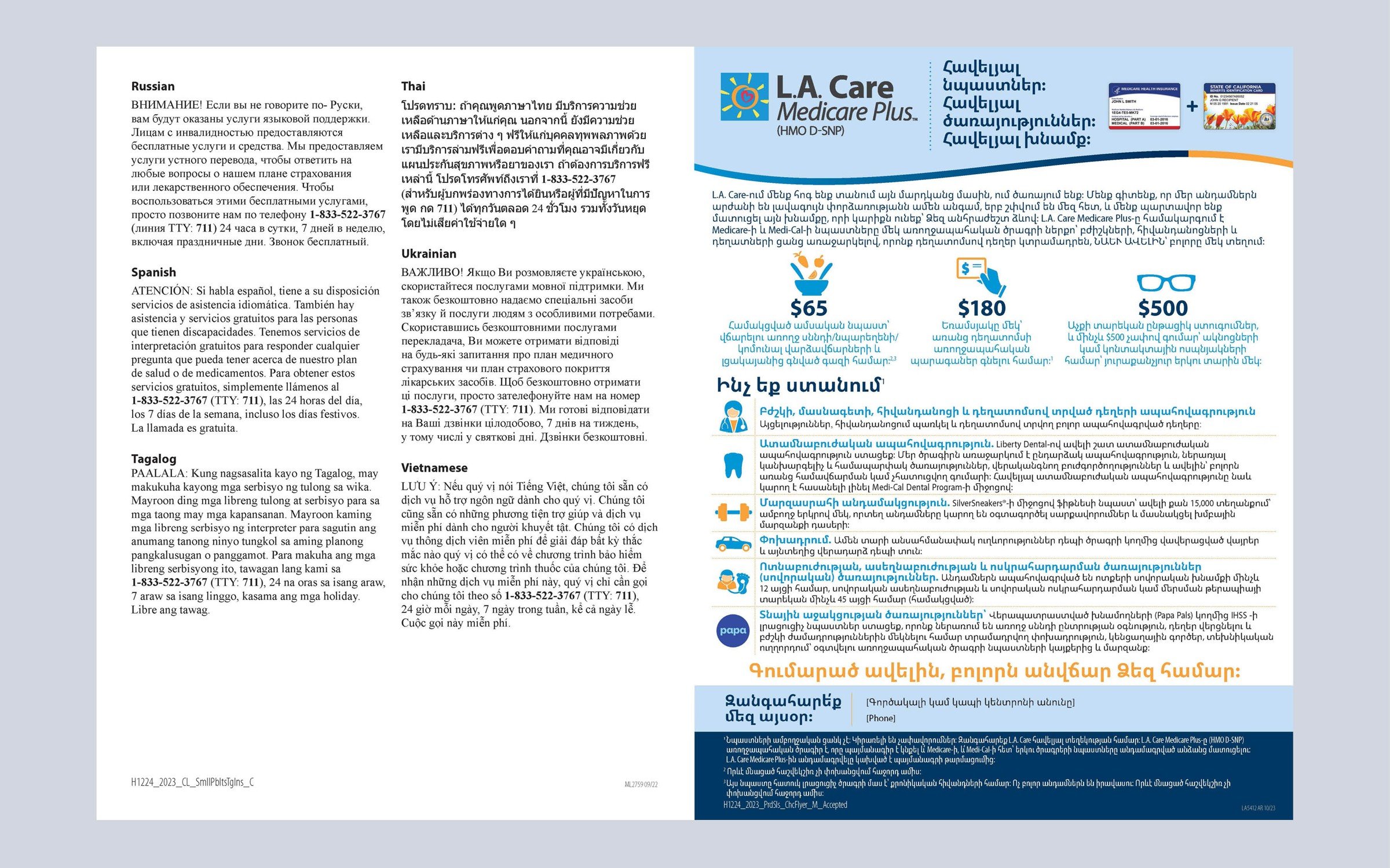 Multilingual healthcare flyer DTP sample — Armenian plus 15-language compliance disclaimer typesetting